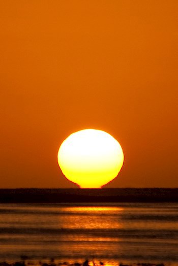 Обложка произведения Распространитель иллюзий на тонком небе мстителя