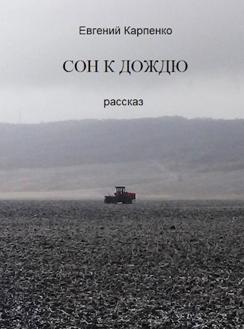 Обложка произведения Сон к дождю