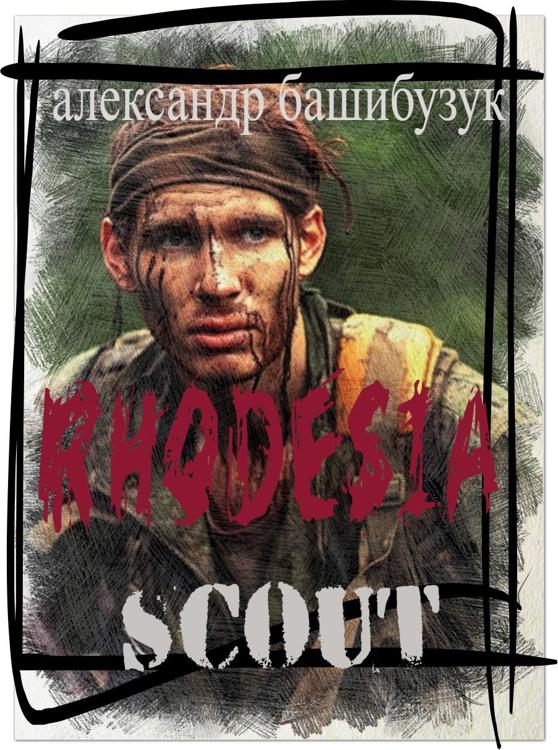 Бронепехота технолог арт. Книга " южная родезия". Родезийцы бойцы. Верещагин башибузук. Башибузук скаут 2.