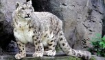 Обложка произведения Новая старая сказка