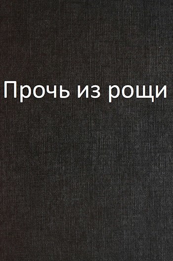 Рассказ прочь