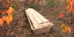 Обложка произведения Похороны понарошку
