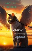 Обложка произведения Испытание Главнокомандующего Буниоса