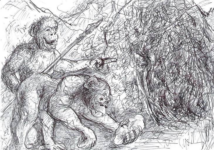 Иллюстрация