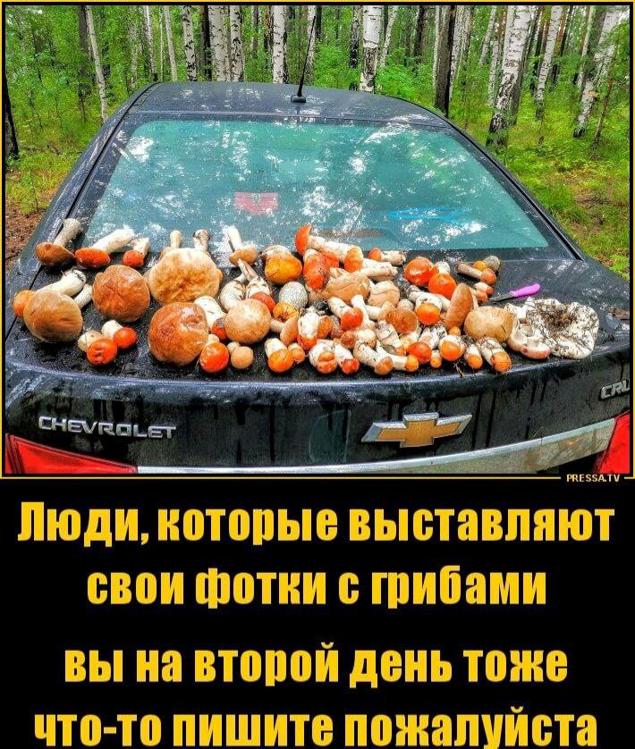 Metropolitan museum of art new york. Афоризмы о чувствах и эмоциях. Музей метрополитен в нью-йорке. Картины айвазовского в третьяковке. Люди которые выставляют статусы.