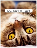 Обложка произведения Последняя песня