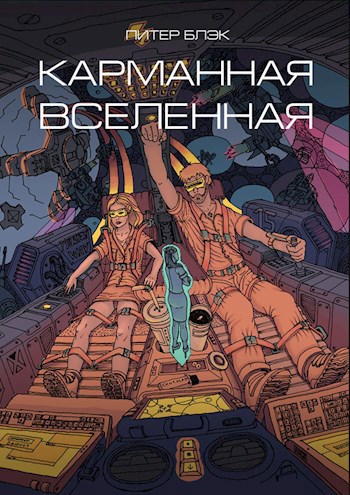 Обложка произведения Карманная вселенная