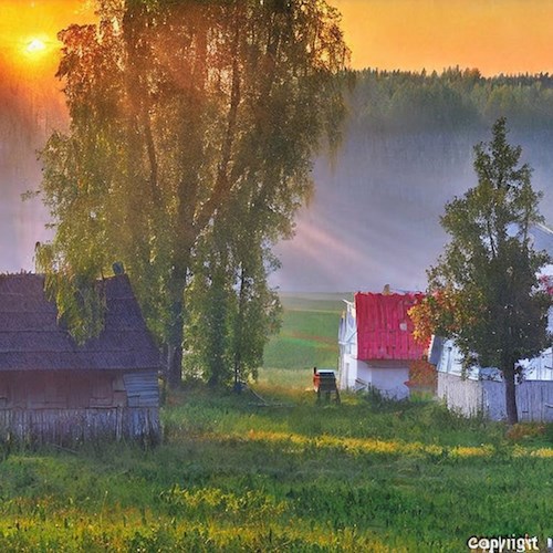 Обложка произведения Деревенский анекдот.