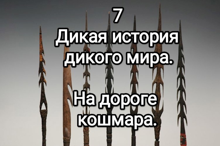 Обложка произведения Дикая история дикого мира-7. На дороге кошмара.