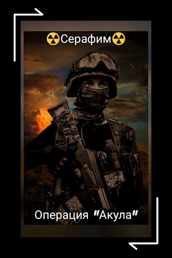Обложка произведения Операция " Акула "