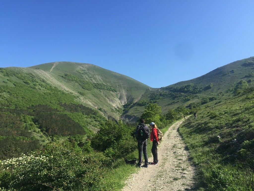 Купить Дом В Неберджаевской Краснодарского