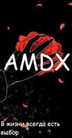 Обложка произведения AMDX