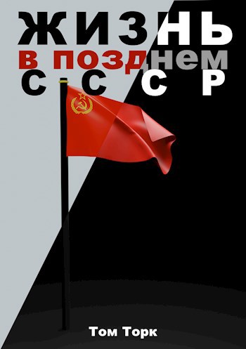 Обложка произведения Жизнь в позднем СССР