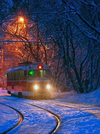 Обложка произведения Бар у Марка