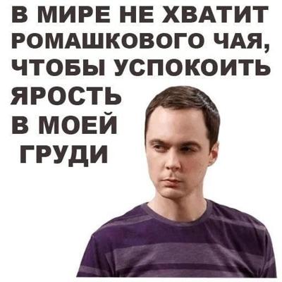 Мыслить на английском. Довольный на английском. Шелдон в мире не хватит ромашкового чая. Хватит по английскому. Думать на английском.