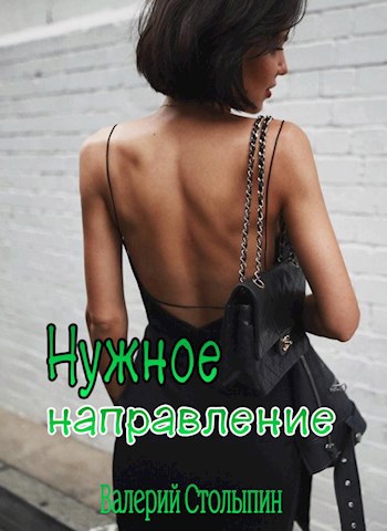 Обложка произведения Нужное направление