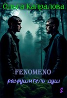 Обложка произведения Fenomeno-2. Разрушитель душ