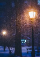 Обложка произведения Поэт