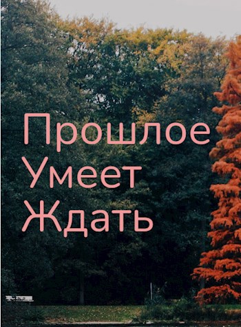 Обложка произведения Прошел умеет ждать