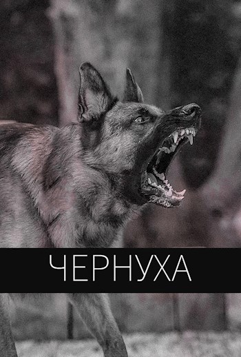 Обложка произведения Чернуха