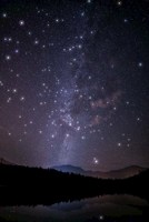 Обложка произведения Последний сеанс