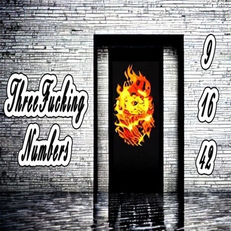 Обложка произведения Three Fucking Numbers