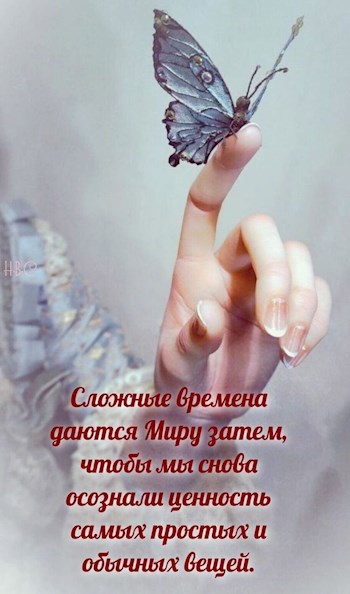 Обложка произведения О жизни