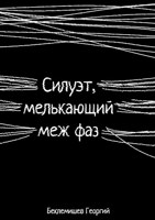 Обложка произведения Силуэт, мелькающий меж фаз