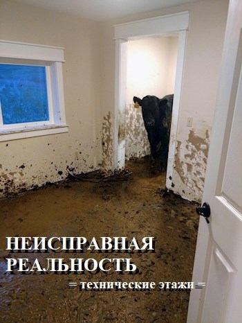 Обложка произведения Неисправная реальность. Технические этажи (ЗАМОРОЖЕННО)