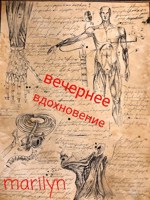 Обложка произведения Вечернее вдохновение