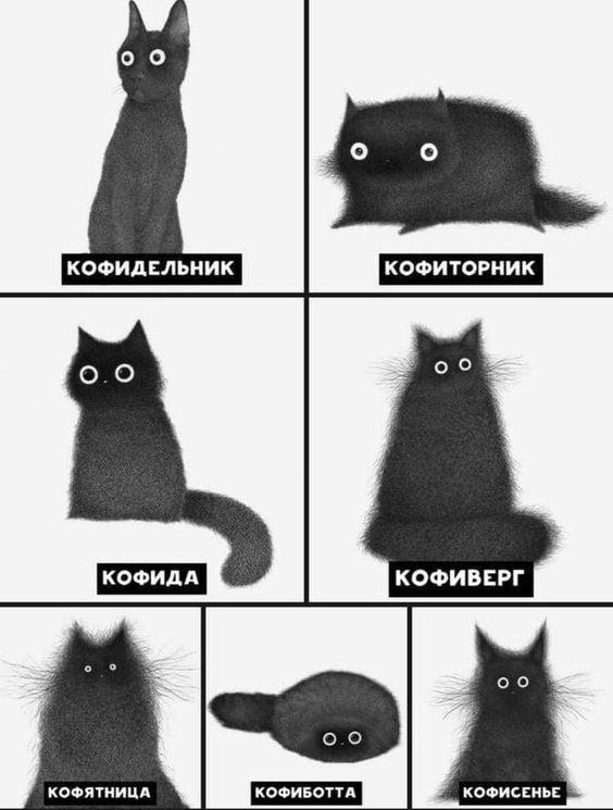 Кот с кофе мем