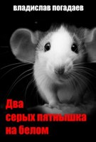 Обложка произведения Два серых пятнышка на белом
