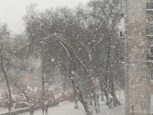 Обложка произведения Так бывает
