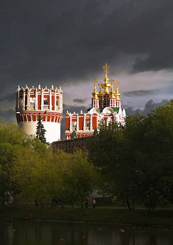 Обложка произведения Софьина башня