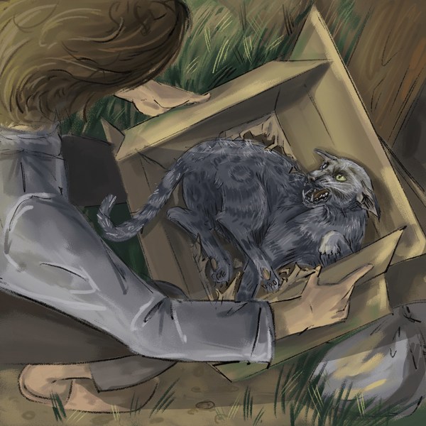 Иллюстрация