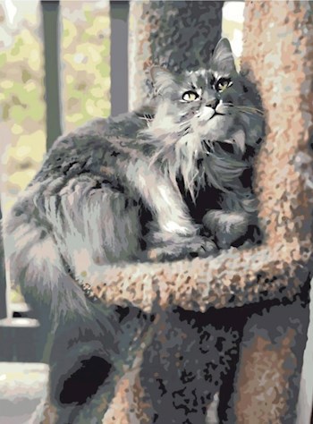 Обложка произведения Коты наблюдают
