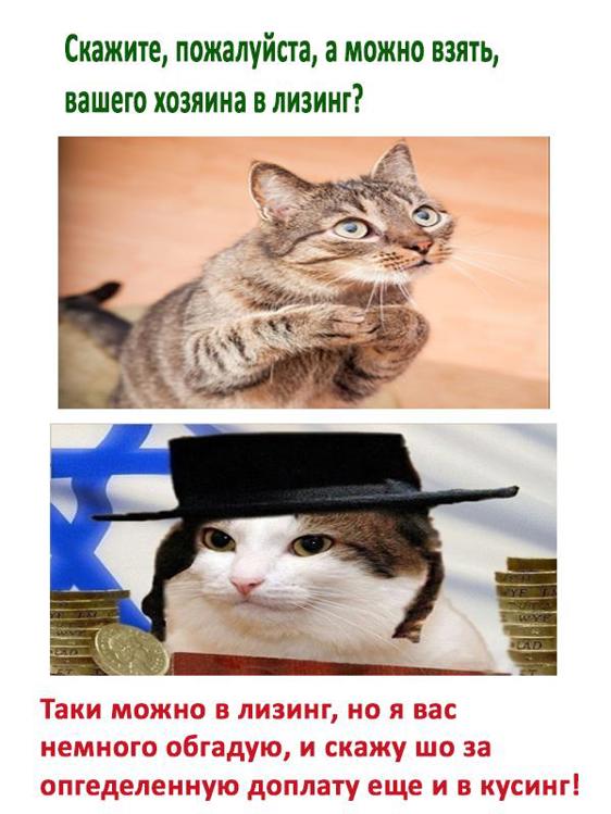 Беру хозяин