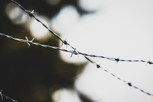 Обложка произведения Записки ЗК или здравствуй, особый режим.