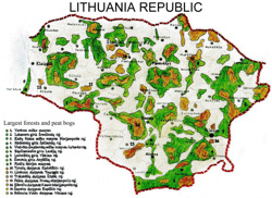 Литовские леса