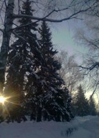 Обложка произведения И художник и поэт