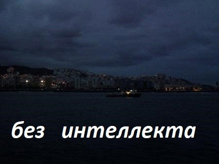 Обложка произведения Без интеллекта