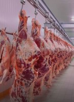 Обложка произведения Работяга