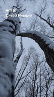 Обложка произведения неЯга