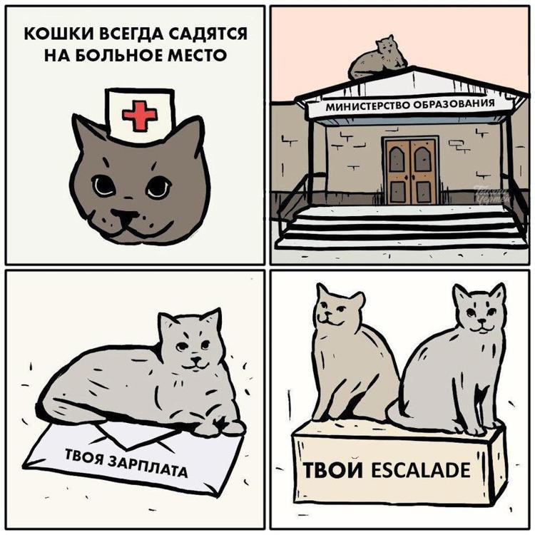 Интернет мемы с котами Котэ против падонков / Константин Исмаев