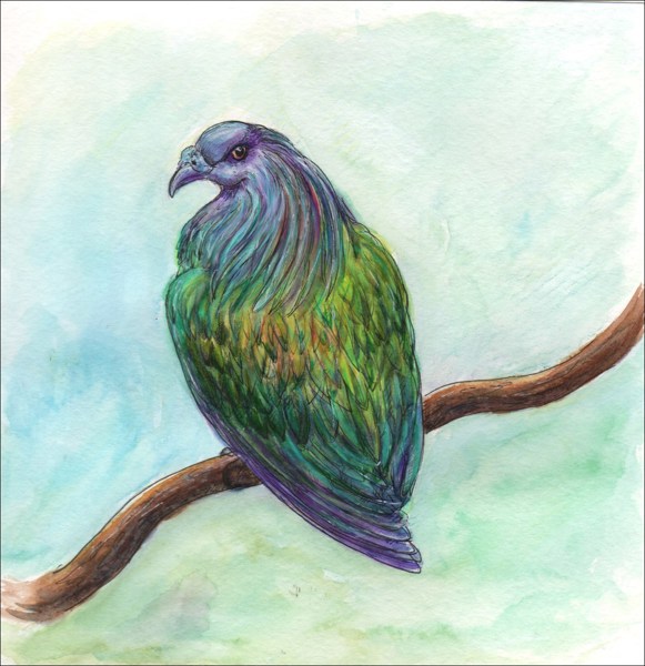 Иллюстрация