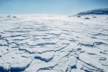 Обложка произведения Новый холодный мир