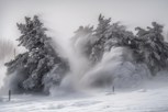 Обложка произведения Снежная история