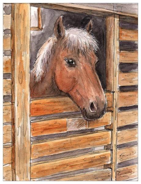 Иллюстрация