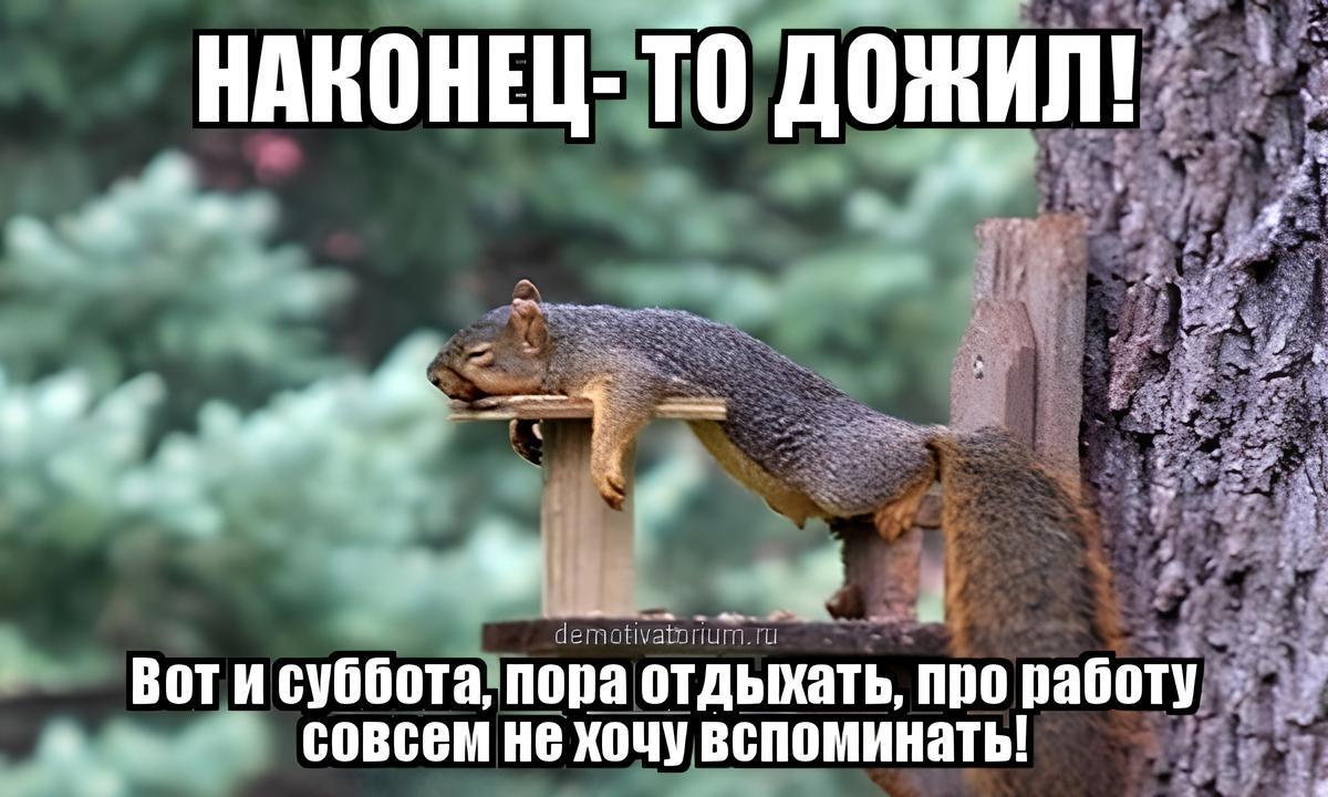 Отдыхает после насыщенного дня на природе