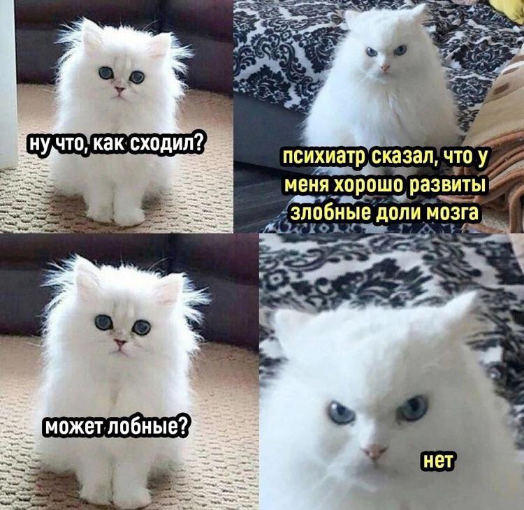 Мемы 2023 года картинки